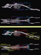 Positioning Guide Preview