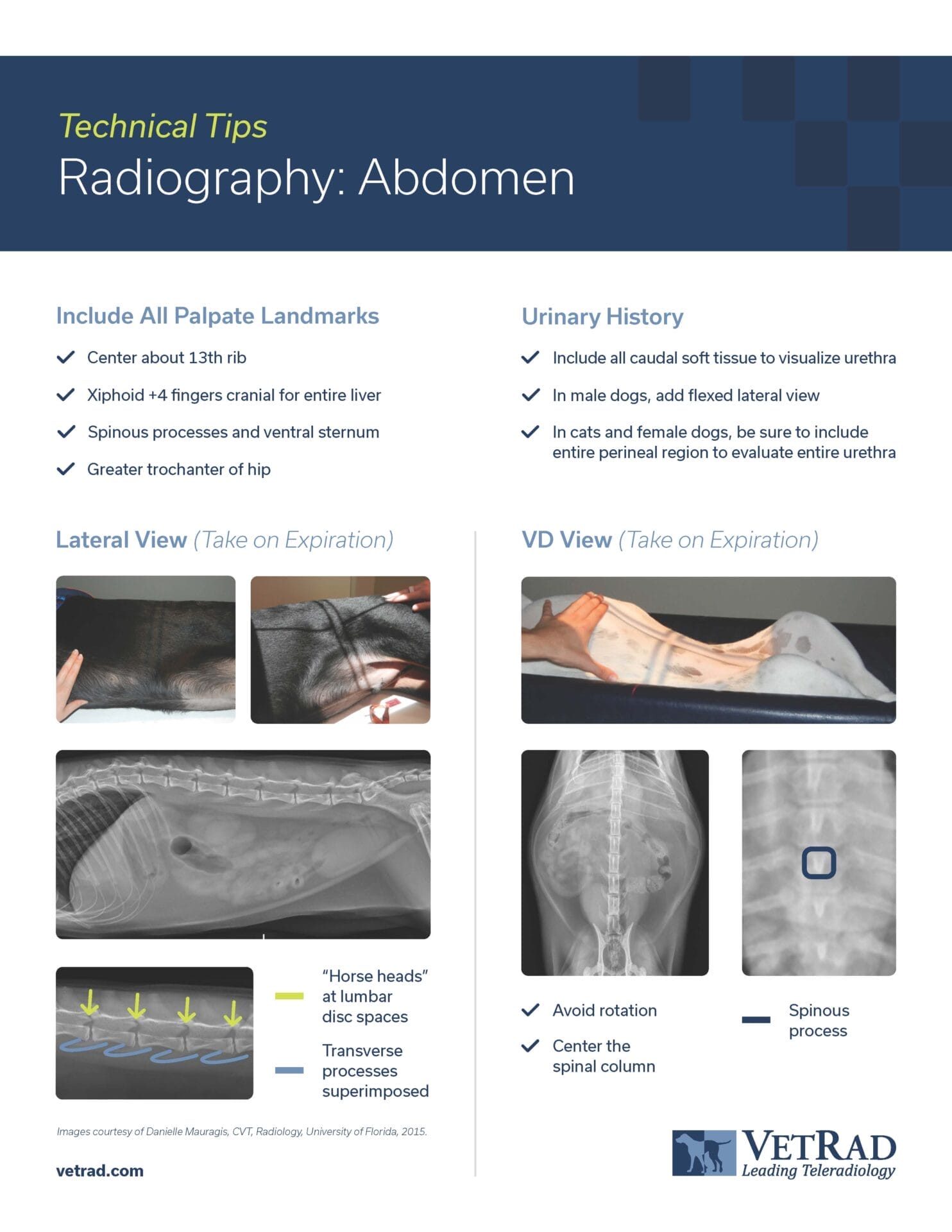 Technical Tips Abdomen Poster Preview