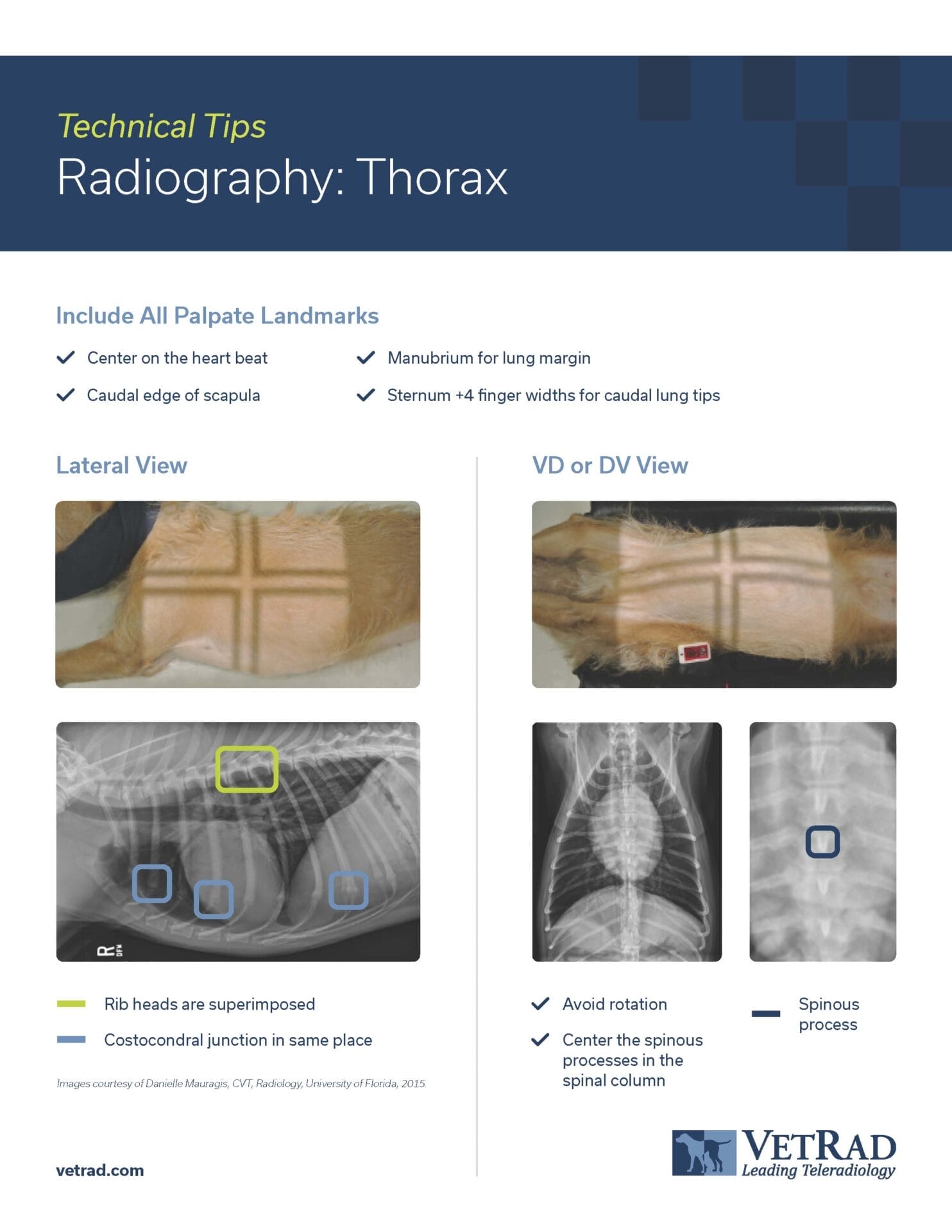 Technical Tips Throax Poster Preview
